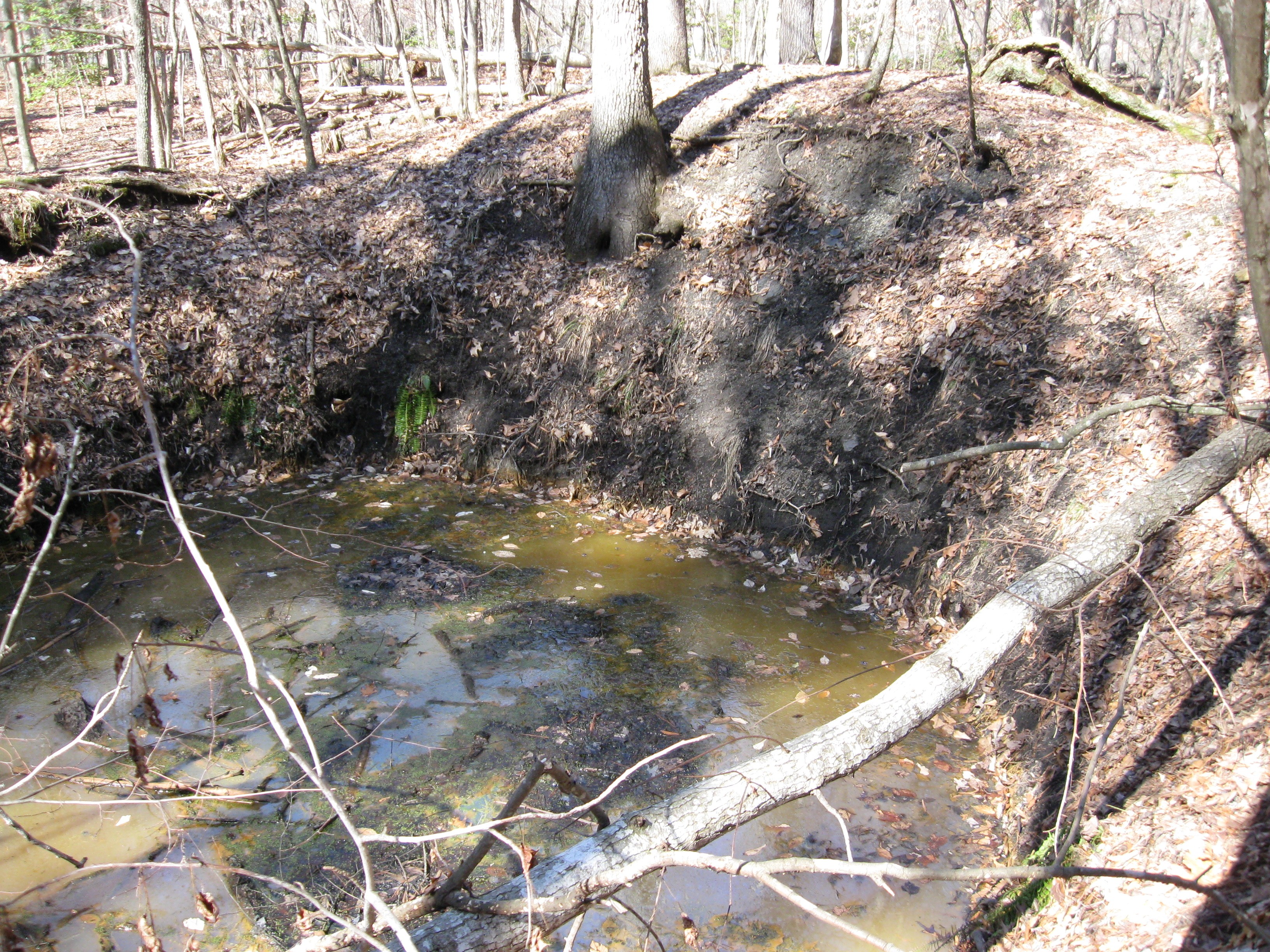 Reclaimed mined lands picture