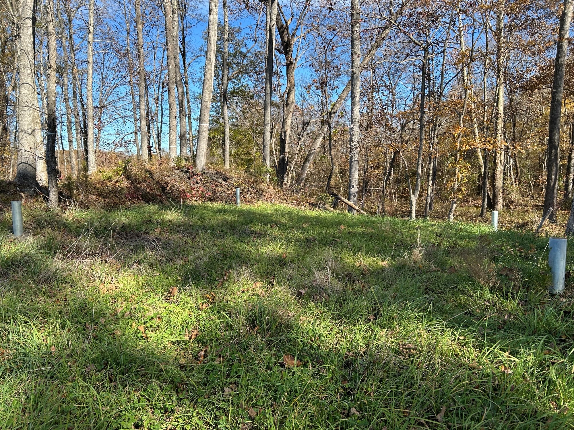 Reclaimed mined lands picture