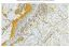 Open File Report 2025-06 Surficial geologic map of the Charlottesville 30- x 60-minute quadrangle, 1:100,000-scale