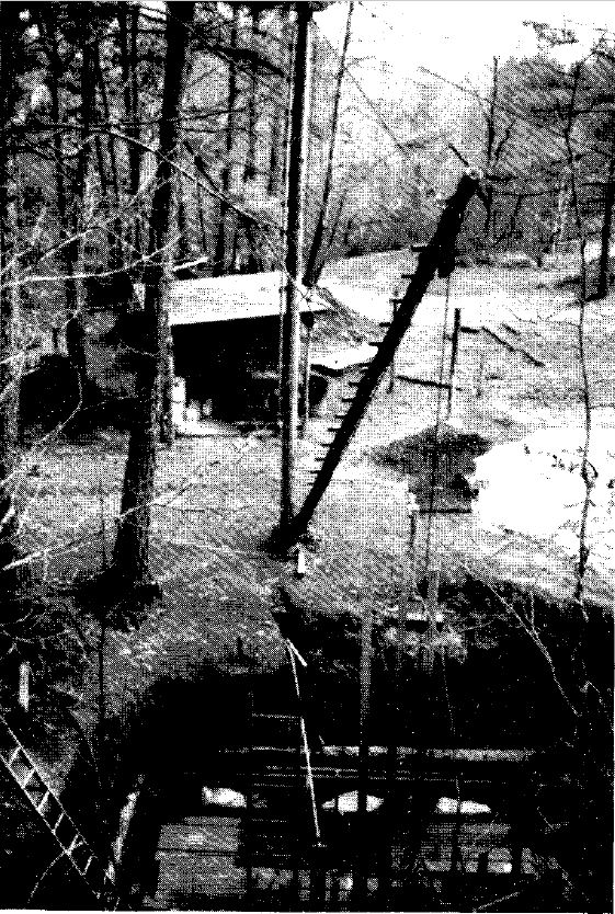 One of the Morefield mine shafts.
												From Giannini and Sweet, 1991.