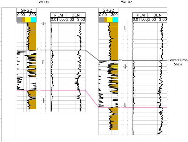 Geophysical logs from two gas wells in southwest Virginia