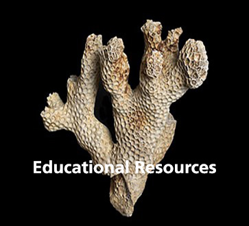 Educational Resources