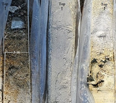 Example of lithological variation in offshore sediment collected from Sandbridge Shoal (vibracore).