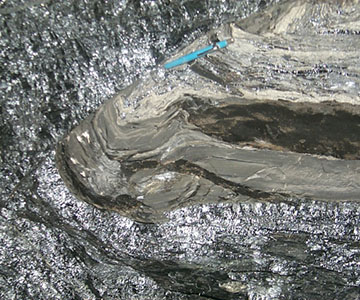 Coal Field Geology