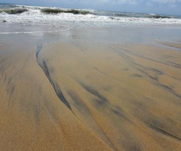 Offshore Sand Resources
