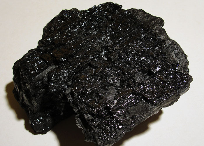 sedimentary rocks coal