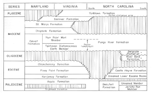 Correlation Chart