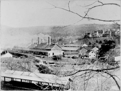 The New Jersey Zinc Company