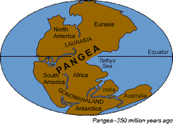 Pangea